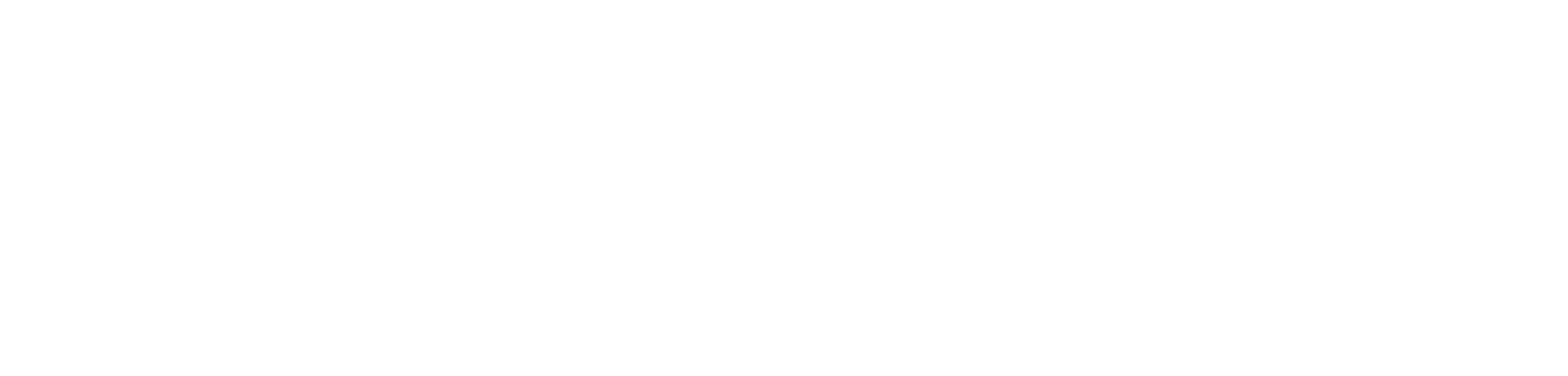 Alfa Net Brasil